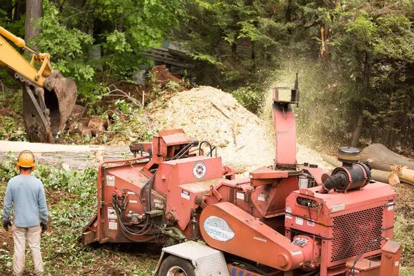 Expert Tree Trimming Madison Services for Healthy Trees
