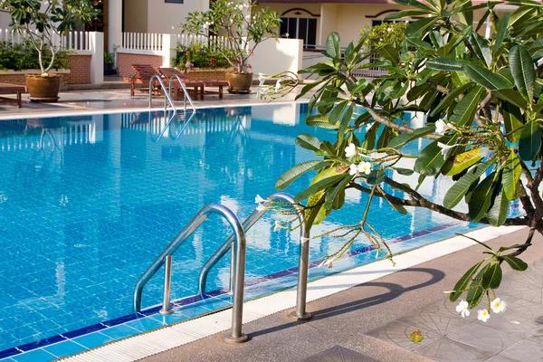 Pool Designer in Minneapolis for Functional Outdoor Spaces