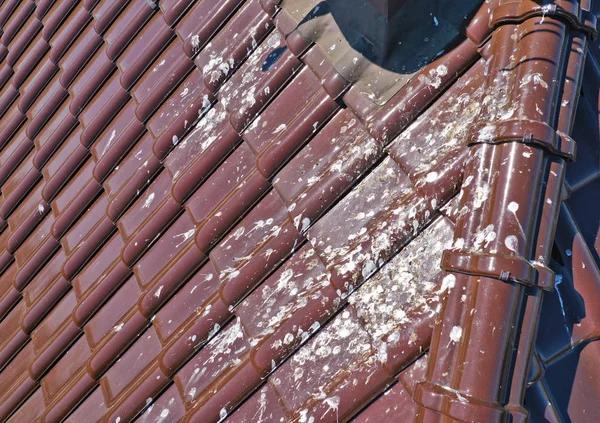 Affordable Roofing Services Without Compromising Quality