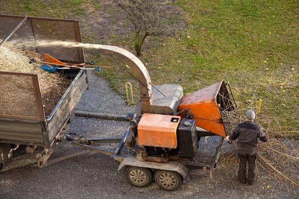 Local Tree Service in Springfield IL for Property Maintenance